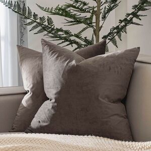 Velvet Throw Pillow Covers SQUARE 16x16” (2-Pack)-ASH